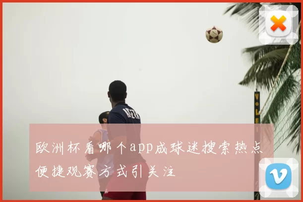 欧洲杯看哪个app成球迷搜索热点 便捷观赛方式引关注