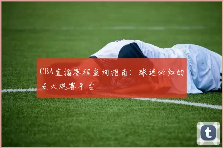CBA直播赛程查询指南:球迷必知的五大观赛平台
