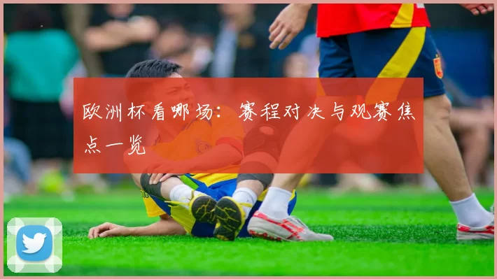 欧洲杯看哪场：赛程对决与观赛焦点一览