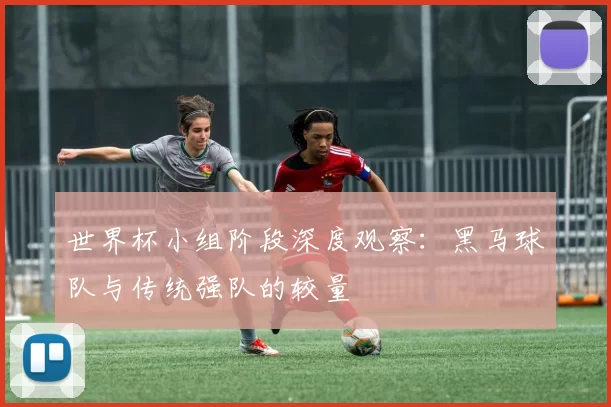 世界杯小组阶段深度观察:黑马球队与传统强队的较量