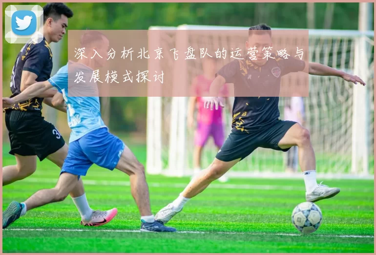 深入分析北京飞盘队的运营策略与发展模式探讨