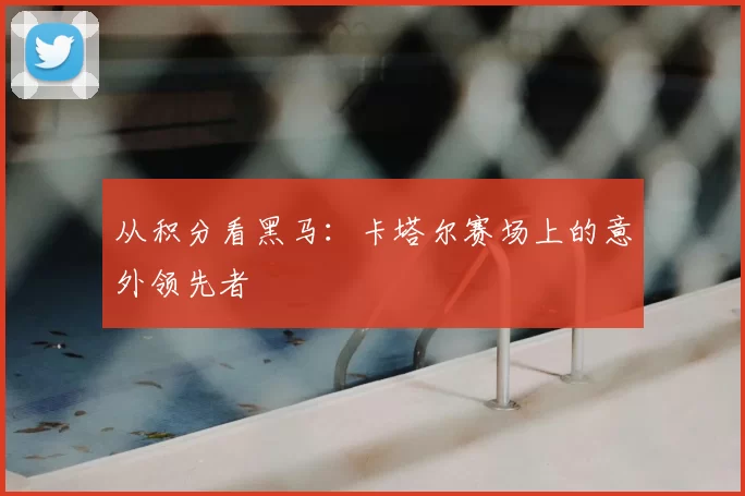 从积分看黑马:卡塔尔赛场上的意外领先者