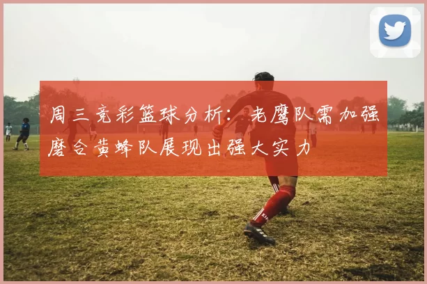 周三竞彩篮球分析：老鹰队需加强磨合黄蜂队展现出强大实力