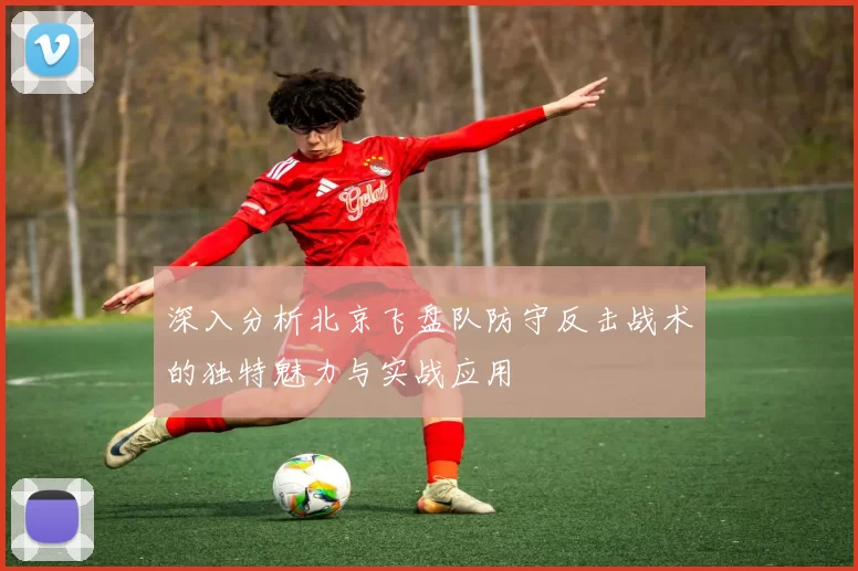 深入分析北京飞盘队防守反击战术的独特魅力与实战应用