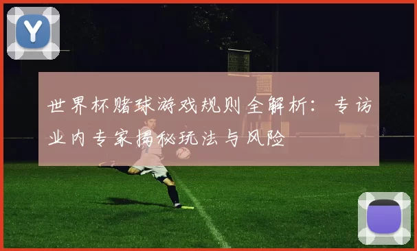 世界杯赌球游戏规则全解析:专访业内专家揭秘玩法与风险