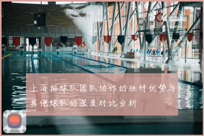 上海排球队团队协作的独特优势与其他球队的深度对比分析